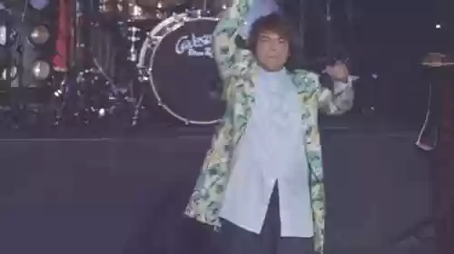 全音域阵容(音域高低排序)插图42
