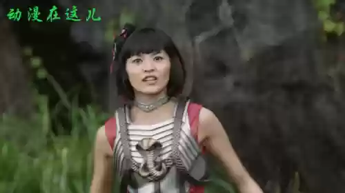 暗黑阵容皇帝(大皇帝ol后期阵容搭配)插图3