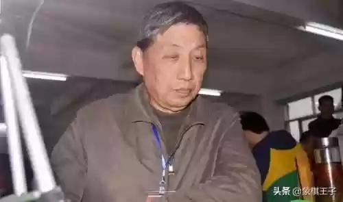 柳大华阵容(武峰乐进t0阵容)