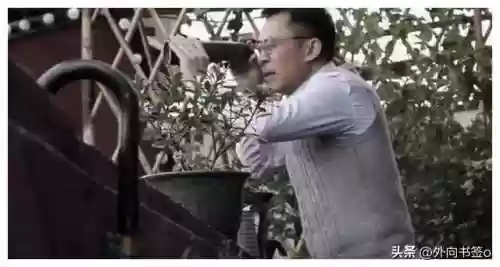 最强阵容八佰(部落冲突8级大本营最强布阵)插图9