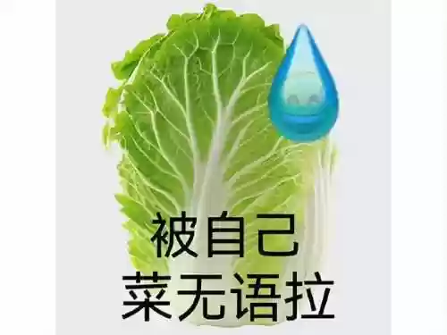 竞速迦南阵容(锚点降临t0阵容)插图5