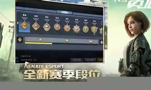王牌战争吃鸡豪华阵容搭配
