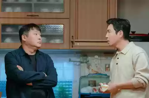 重组家庭阵容(重组家庭算直系亲属吗)插图3