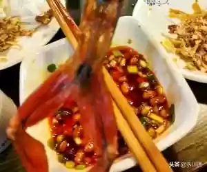 美人蛙阵容(宝可梦t0阵容)插图13