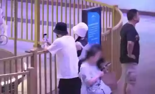 迷你粉丝阵容(迷你西游一个阵容推遍全图)插图3