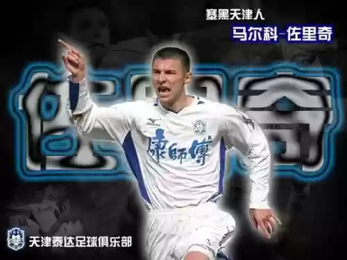 泰达2009阵容(历届天津泰达球员名单)插图3