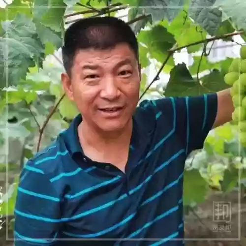 2018葡萄阵容(英格兰国家队主力阵容)插图4