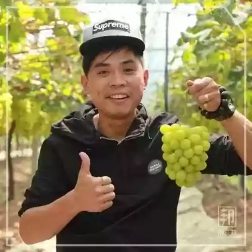 2018葡萄阵容(英格兰国家队主力阵容)插图13