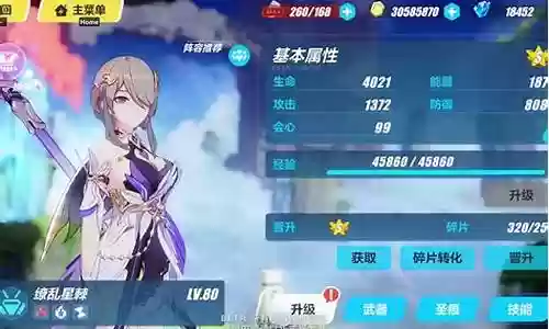 缭乱星棘丽塔阵容搭配