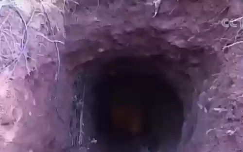 神秘遗骸阵容(不可思议的迷宫地狱边境阵容)插图2
