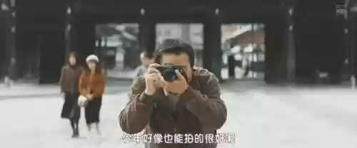 浅田家阵容(宝可梦t0阵容)插图50