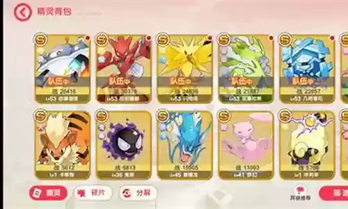 口袋觉醒大鱼后期阵容搭配