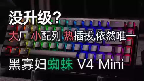 蜘蛛阵容299(云顶之弈蜘蛛万血阵容)