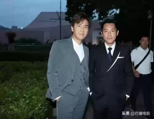 香港名星阵容(香港所有明星)插图10