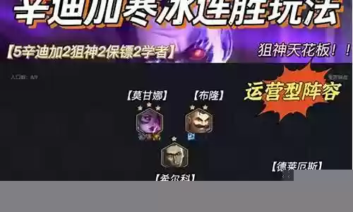 蛇哥寒冰阵容怎么搭配