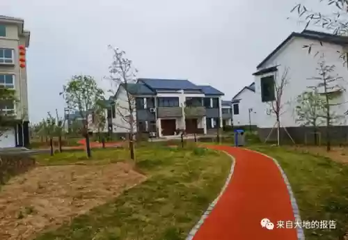 盐场刨土阵容(俱乐部boss最高输出阵容)插图1