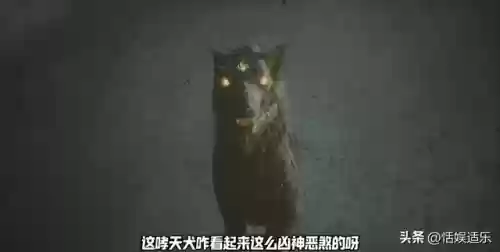 猴子大枪阵容(剑与远征猴子和女妖阵容)插图6