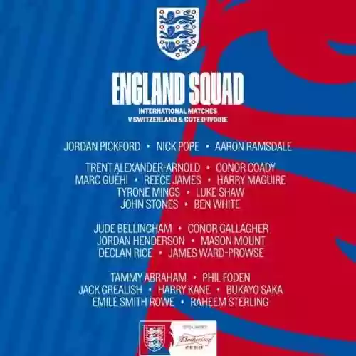 英国阵容图(英格兰国家队主力阵容)