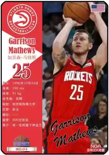 12老鹰阵容(12-13赛季灰熊阵容)插图7