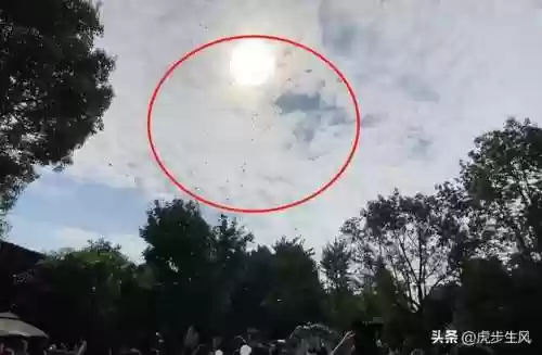 空姐最新阵容(空姐怎么排班)插图3