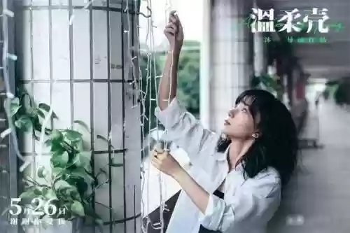温柔壳阵容(云顶之弈努努阵容搭配)插图5
