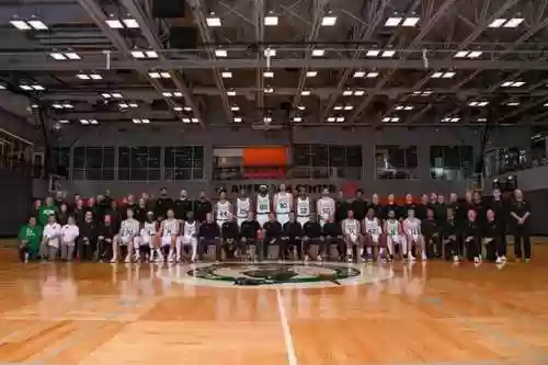 十四冠阵容(命运冠位指定最强阵容2019)