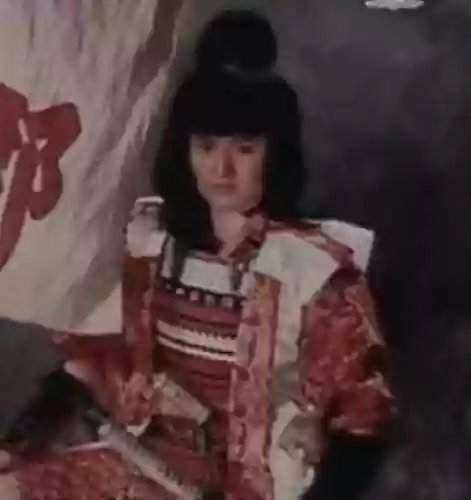 桃太郎阵容(食物语赤轮天狗阵容)插图2