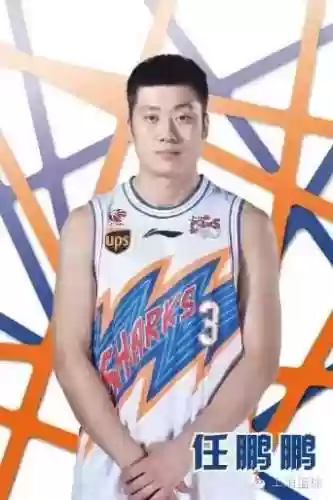 鲨鱼熊阵容(猎铳玩熊套好还是鲨鱼套好)插图5