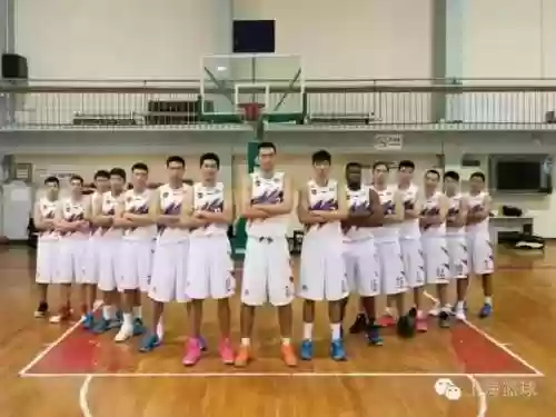 鲨鱼熊阵容(猎铳玩熊套好还是鲨鱼套好)