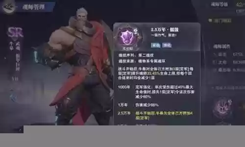牛皋魂环阵容搭配