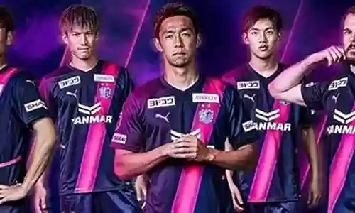 大阪樱花2022阵容搭配