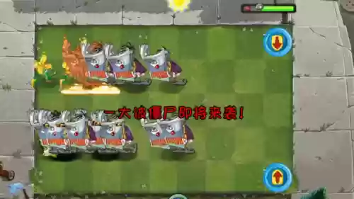 蜜蜂铃兰阵容(铃兰花和什么花搭配好看)插图6