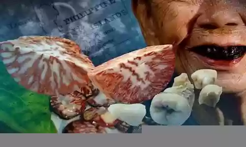 NGA雪地阵容搭配