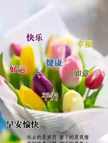 朋友阵容文案(朋友圈推广文案)插图2