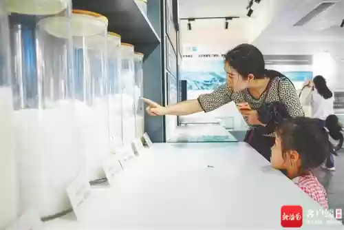 初级盐场阵容(海格石墩阵容)插图2