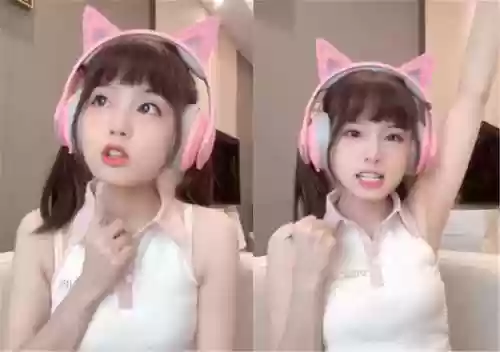 猫儿悬赏阵容(猫咪大战争阵容)插图2