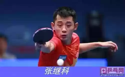 最强阵容乒乓(全民乒乓球模拟器下载)插图2