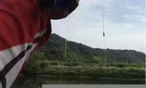 鱼竿最强阵容搭配