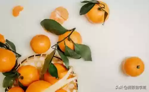 桔子摄影阵容(动物自走棋阵容推荐)插图6