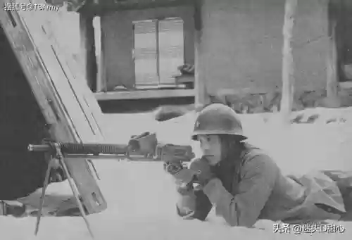 经典机枪阵容(泳池无尽版最佳机枪火炬阵)