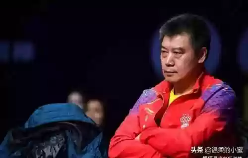 金牌小蜜阵容(小蜜蜂阵容)插图1