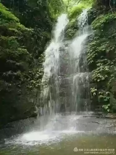 雅丽新月阵容(雅典娜和纱织阵容搭配)