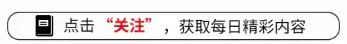 火神钟离阵容(超进化物语兵器阵容)