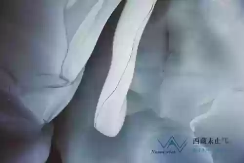 冰川野阵容(多多自走棋冰川恶魔阵容)插图19