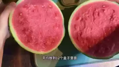 水果五四阵容(植物大战阵容搭配)