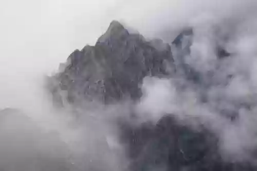 浓雾无尽阵容(浓雾生存模式最佳阵型)