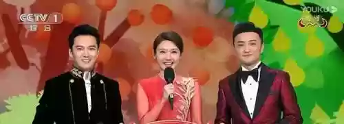 2022央视阵容(央视春晚主持人阵容正式公布)插图6