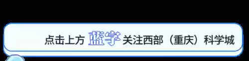 重庆保安阵容(重庆保安公司排名前十)