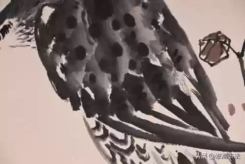 1920老鹰阵容(2017年老鹰队员阵容)插图2