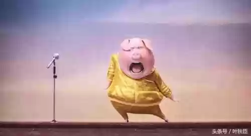 公猪搭配阵容(苏太猪配什么猪最好)插图2